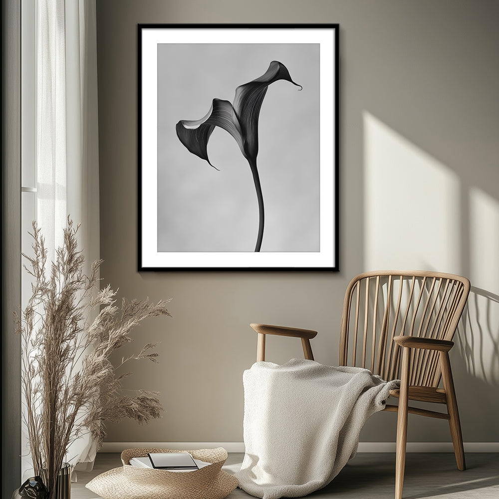 Black Calla - I