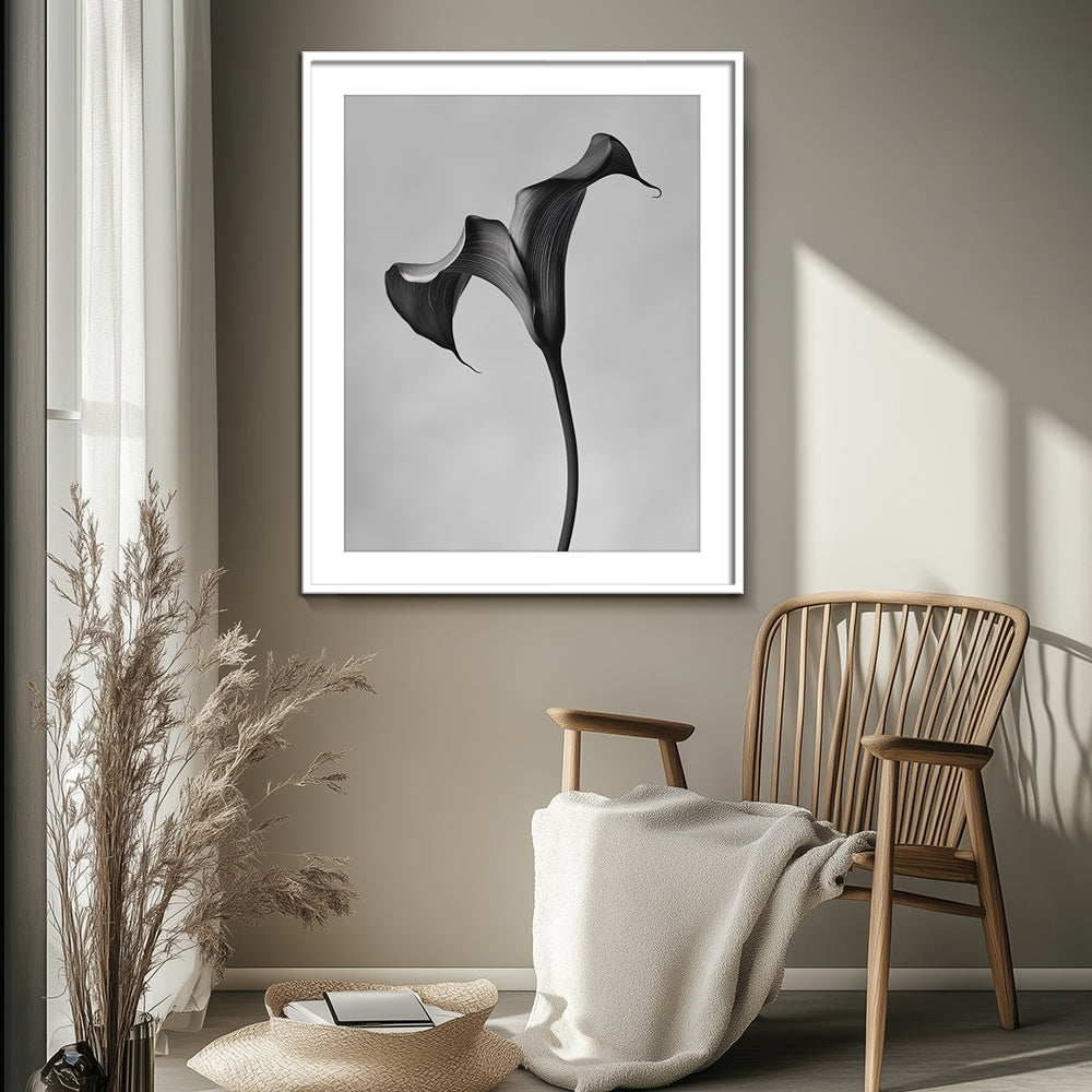 Black Calla - I