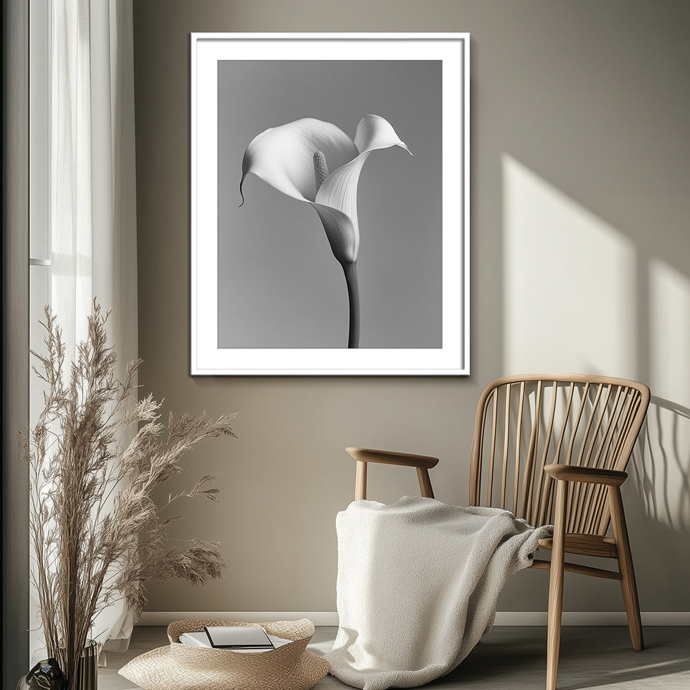 Calla - I