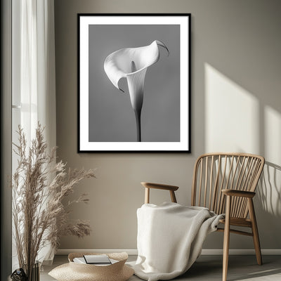 Calla - III