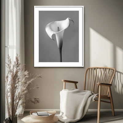 Calla - III